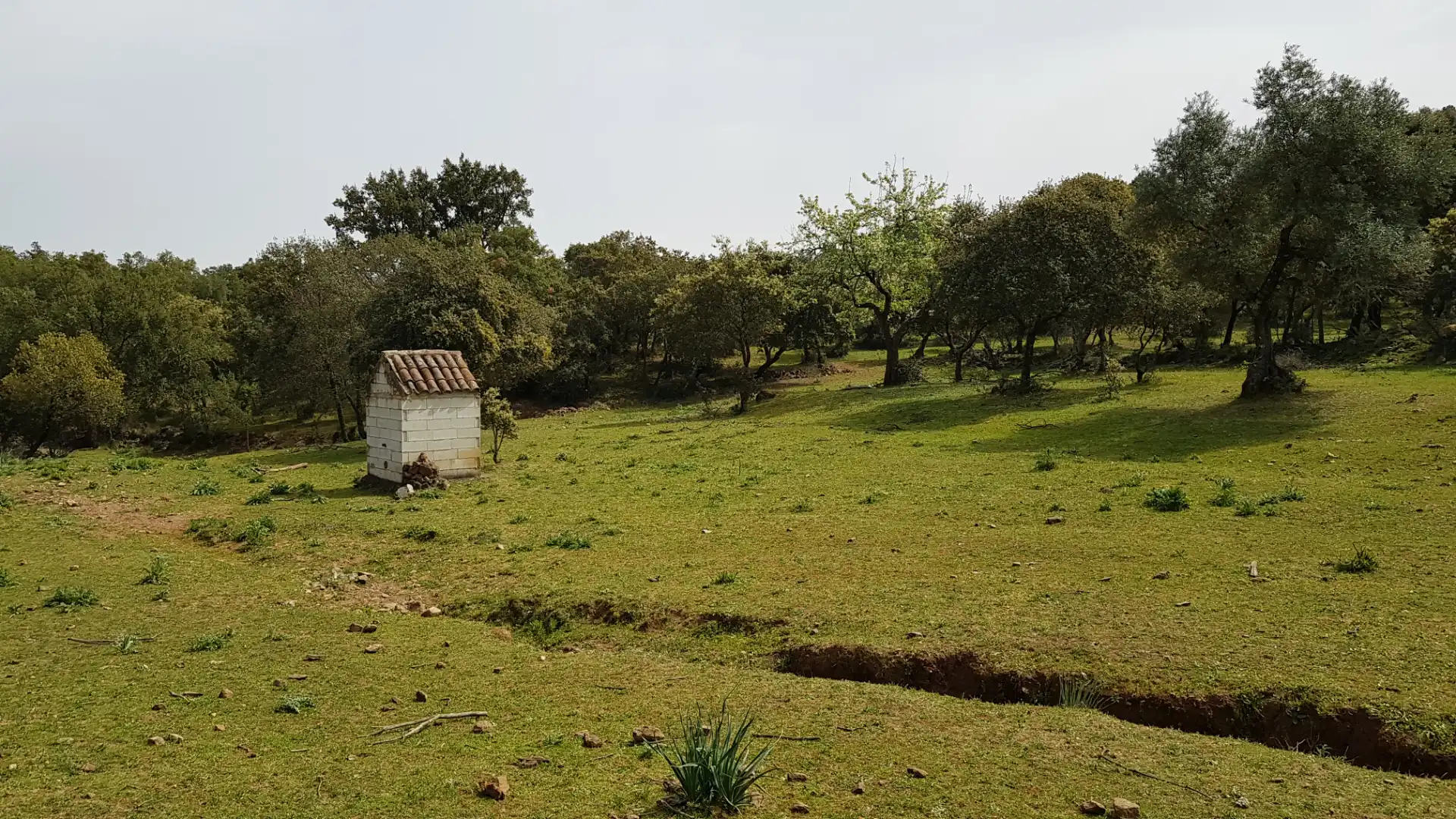 Terrenos y solares en venta en Extramuros Diseminados 5, imagen 75