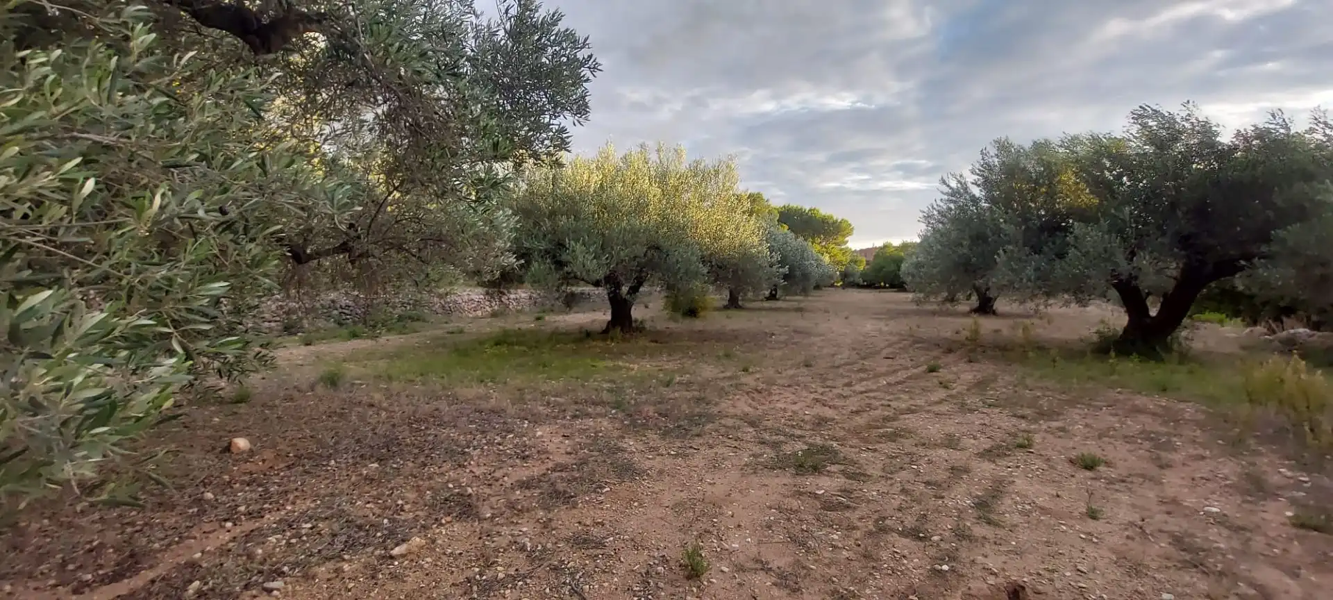 Rural land for sale in Miami Platja, imagen 12