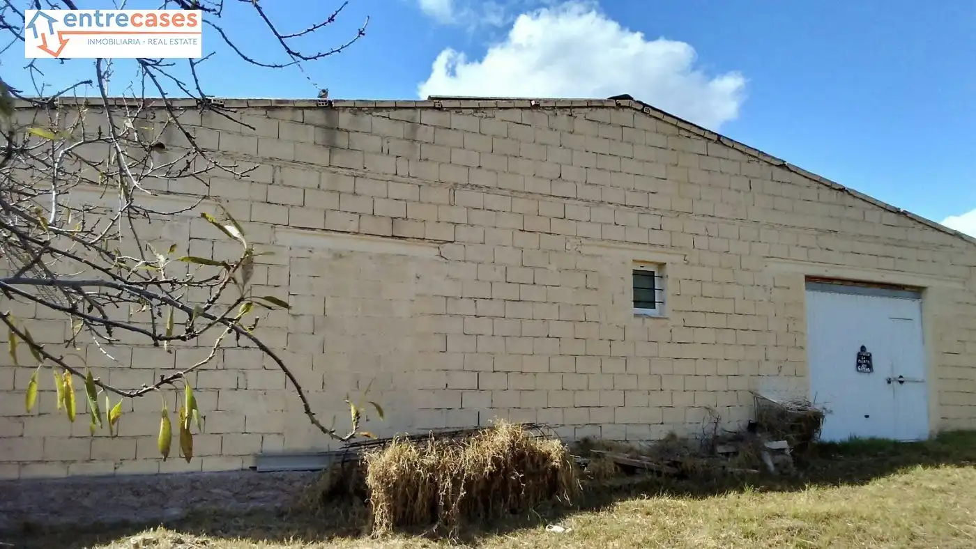 Rural land for sale in Albalat dels Tarongers, imagen 18