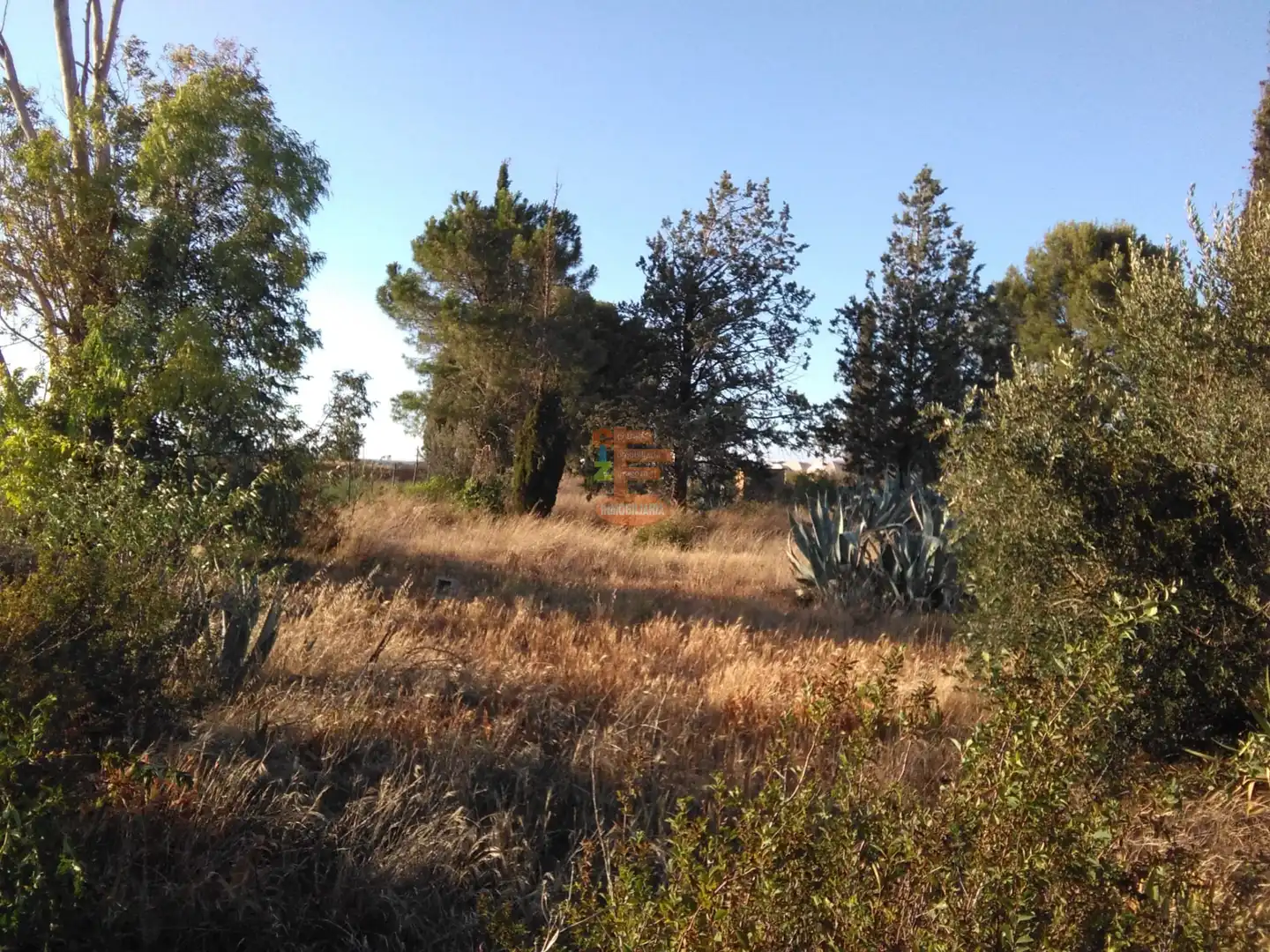 Terreno en venta en Zaragoza