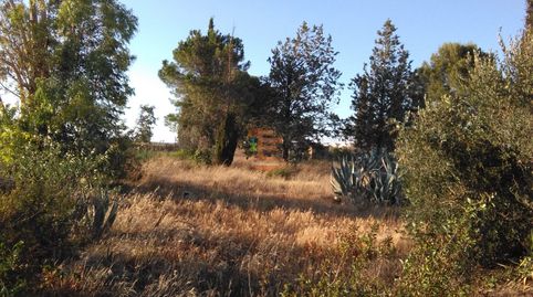 Foto 2 de Terreno en venta en Urbanización 19 Huertos Regao Peñaf, Peñaflor, Zaragoza Capital