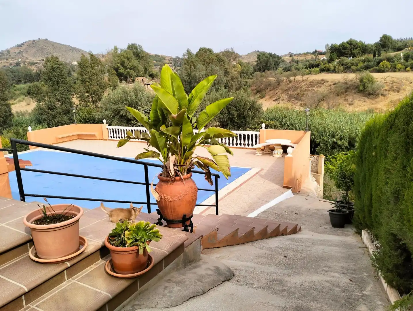 Piscina de Finca rústica en venda en Cártama amb Calefacció, Jardí privat i Terrassa