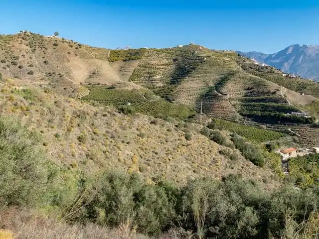 Terreni e lotti in vendita a Torrox Pueblo, imagen 2