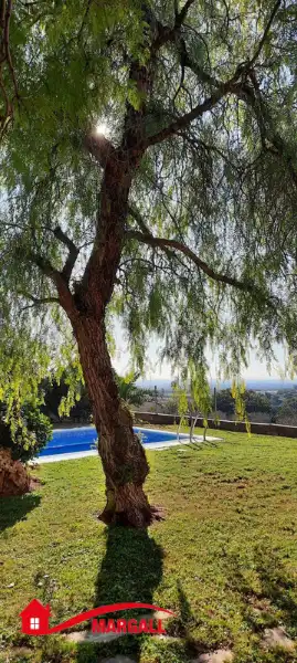 Chalet con terraza en venta en Alfinach - Los Monasterios, imagen 3