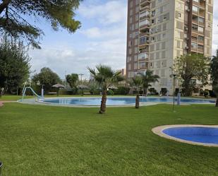 Swimming pool of Apartment to rent in La Pobla de Farnals  with Air Conditioner, Heating and Private garden