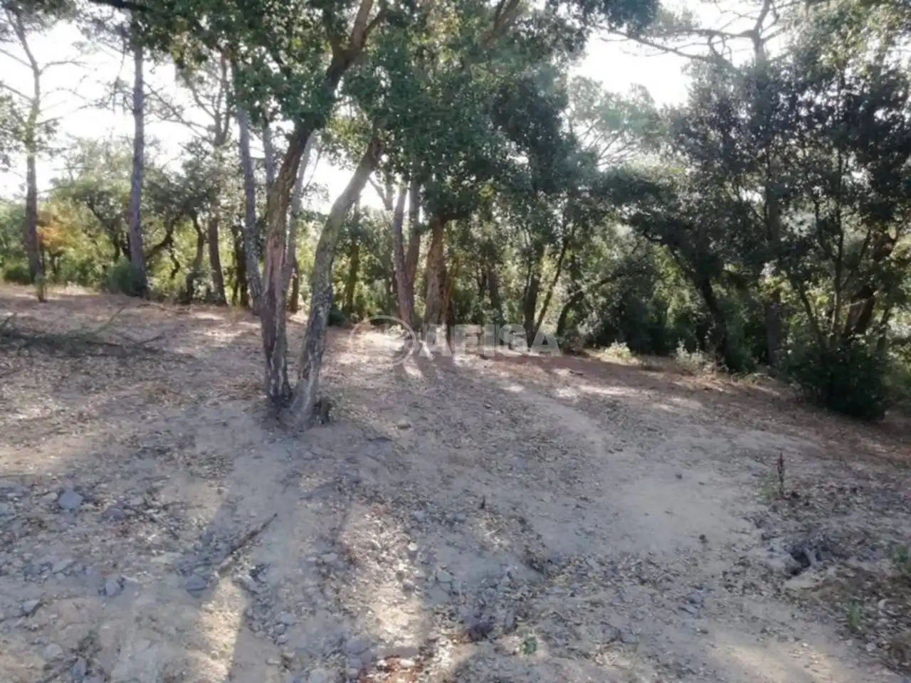 Casa rústica con piscina en venta en Maçanet de la Selva pueblo, imagen 22