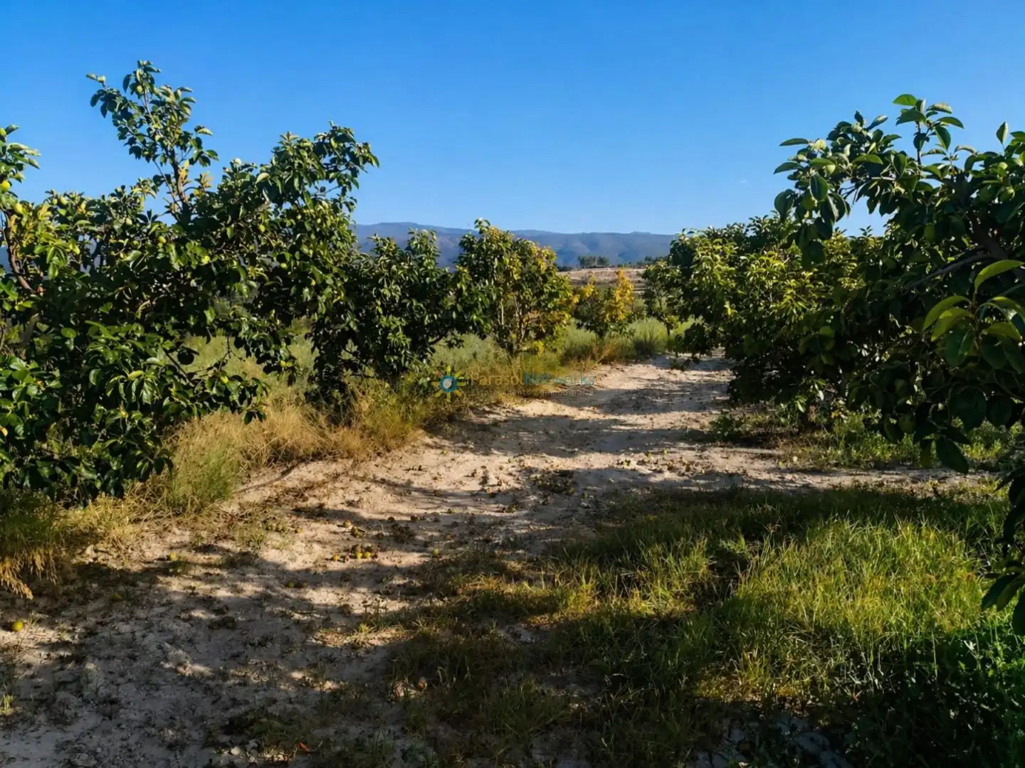 Finca rústica en venta en Albaida con Jardín privado y Trastero