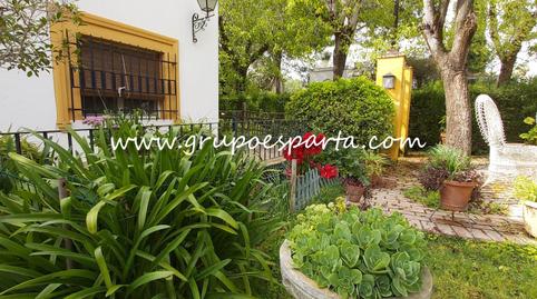 Foto 2 de Casa o chalet de alquiler en Loreto, Sevilla