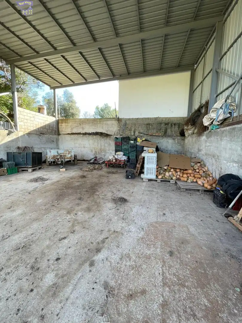 Terreny rústic en venda a Arcos de la Frontera, imagen 14