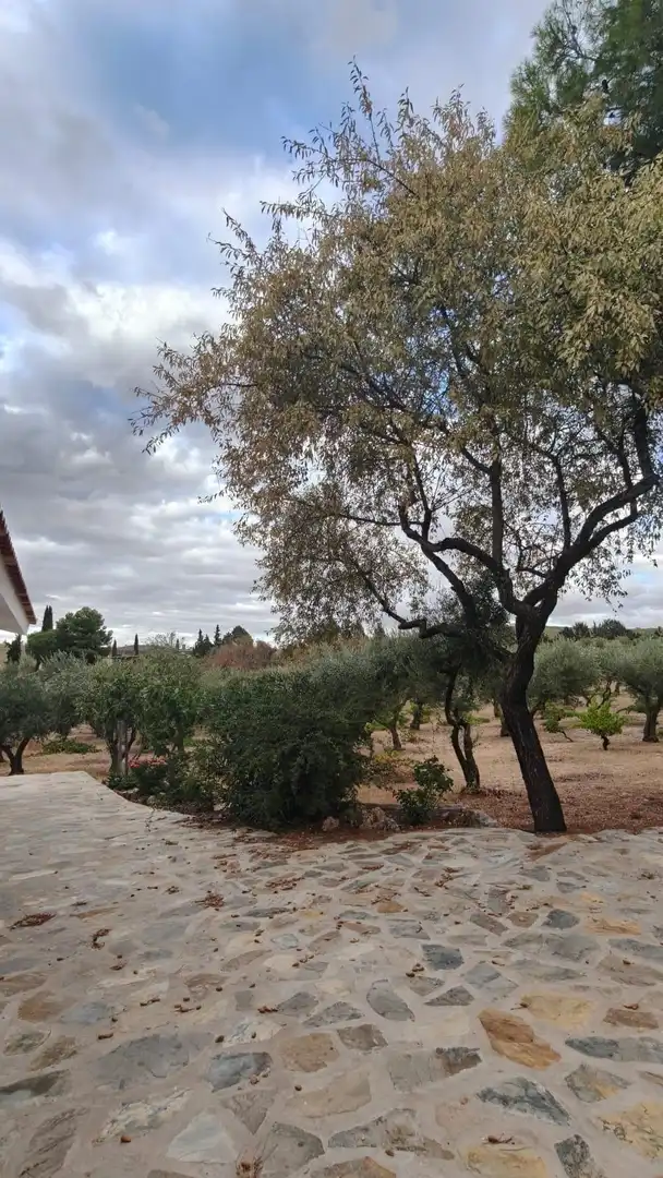 Jardí de Finca rústica en venda en Toledo