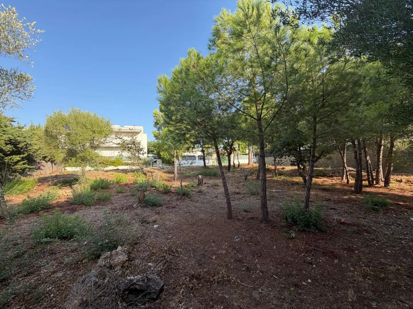 Residential for sale in DE L'EUCALIPTUS, 40, Nord