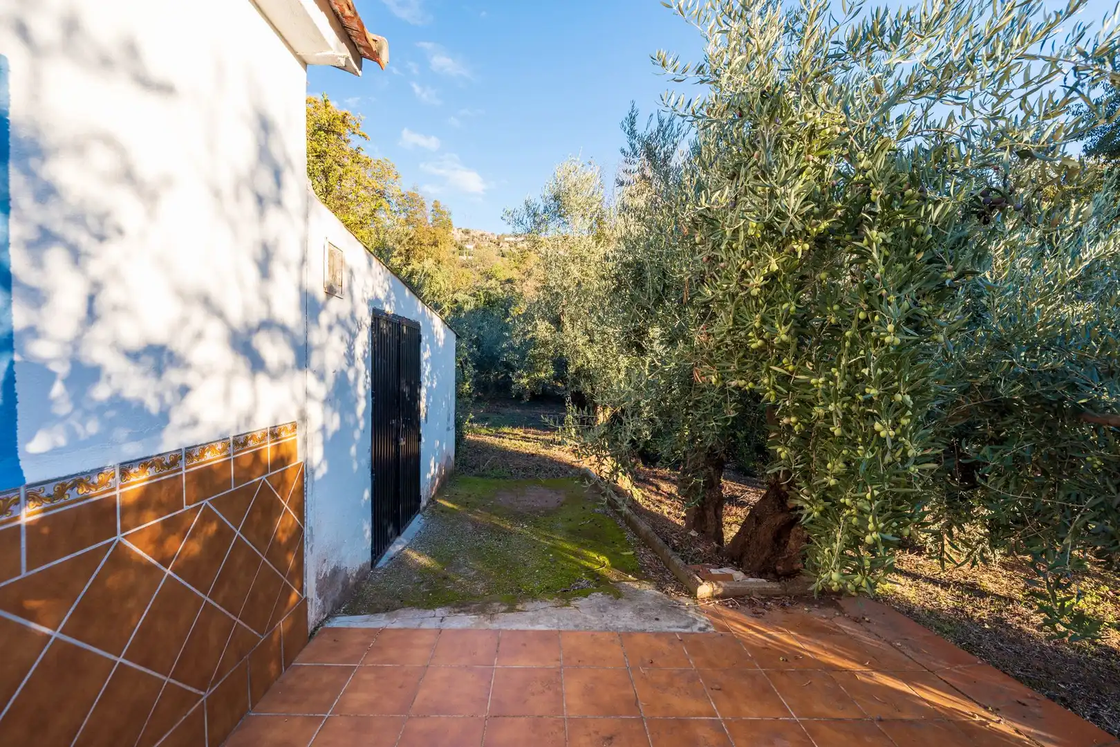 Jardí de Casa o xalet en venda en Cogollos de la Vega