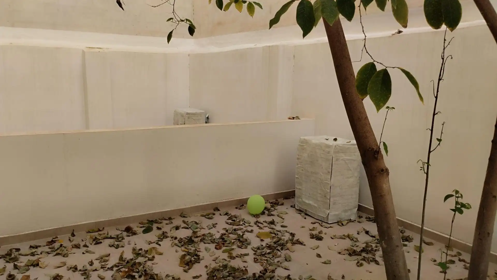 Jardín de Planta baja en venta en Xirivella con Aire acondicionado, Terraza y Amueblado