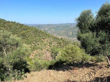 Terrenos y solares en venta en Periurbano Norte