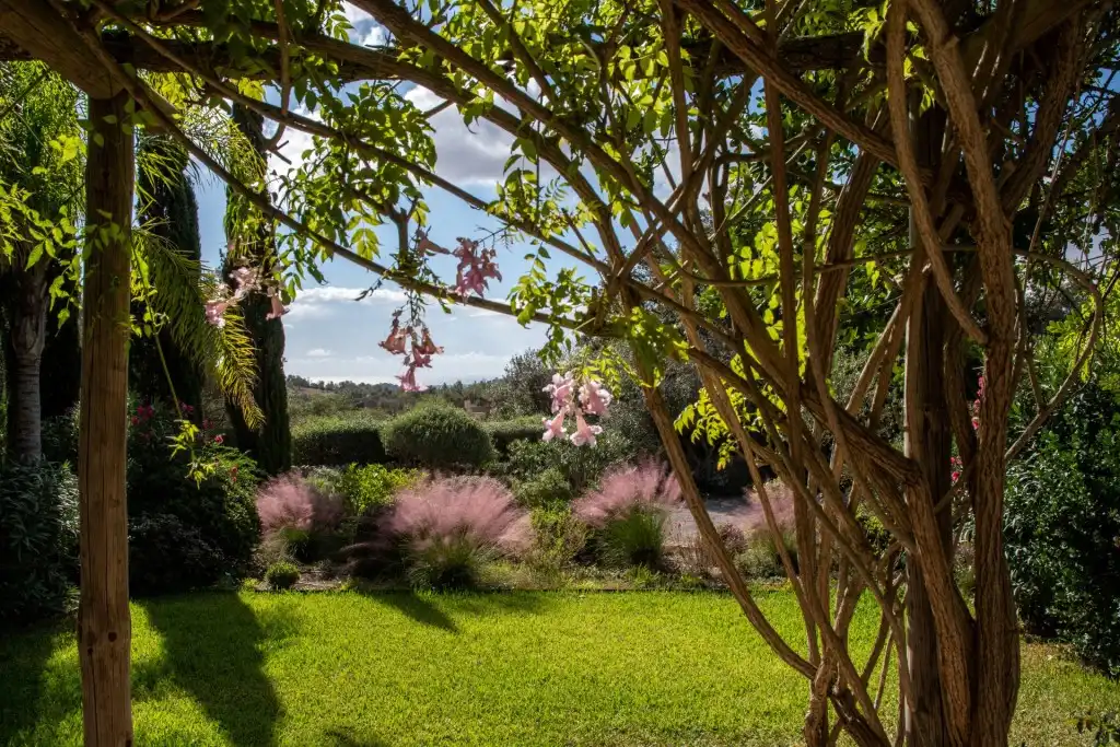 Casa rústica con piscina en venta en Felanitx Poble, imagen 23