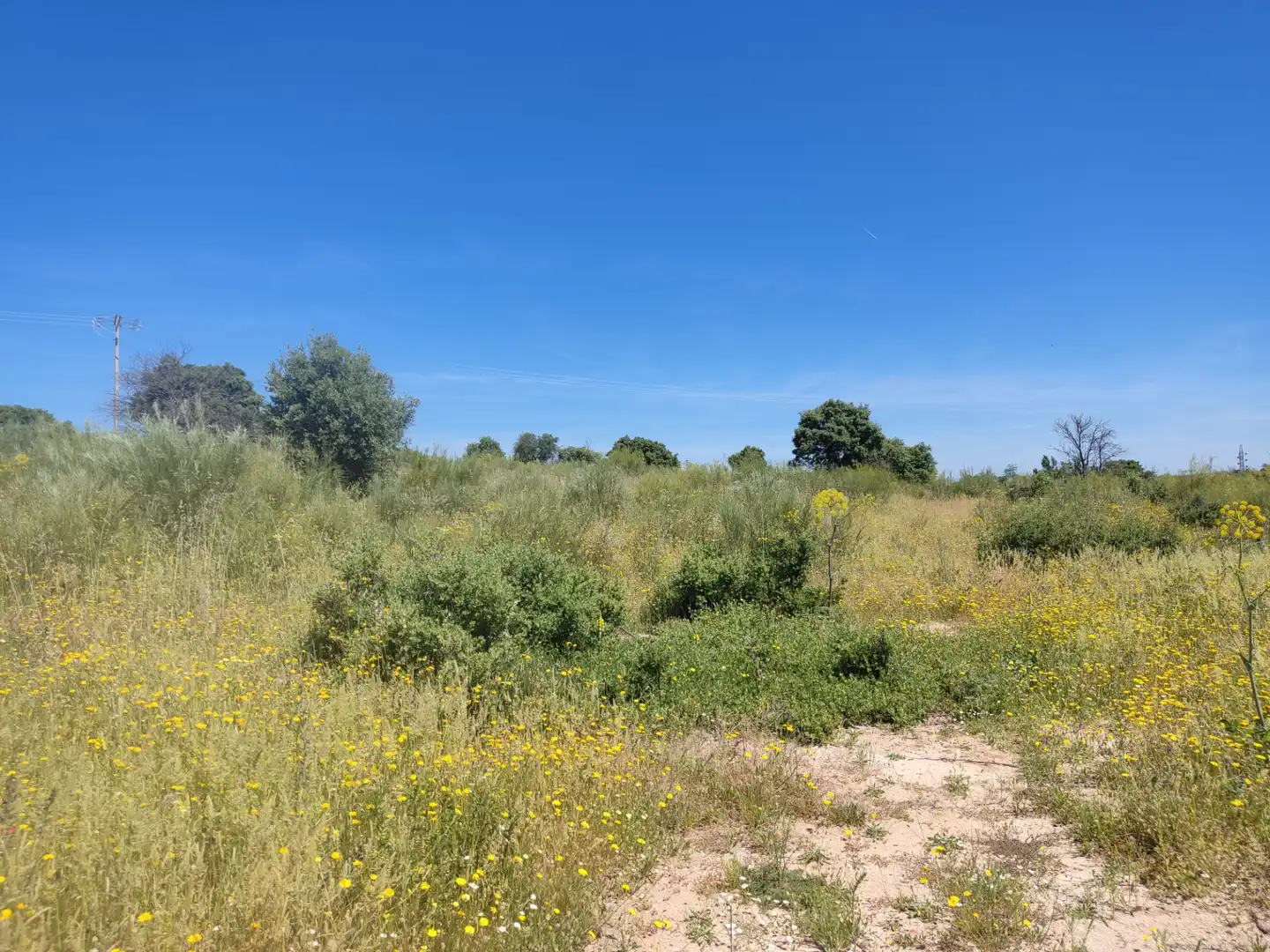 Land for sale in Navalcarnero