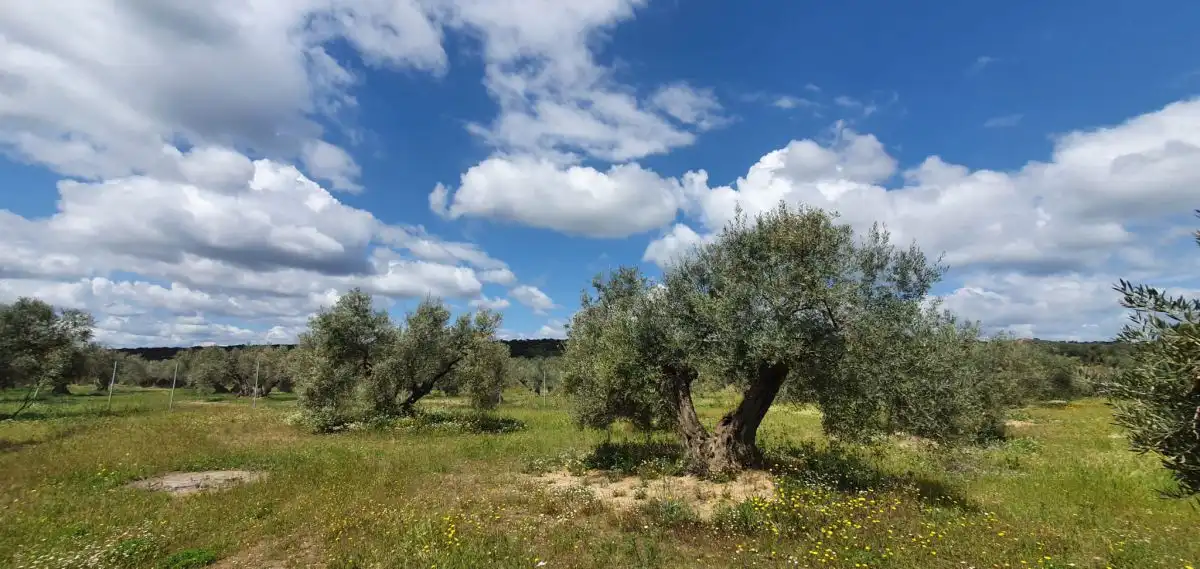 Country homes for sale in Bailén, Jaén