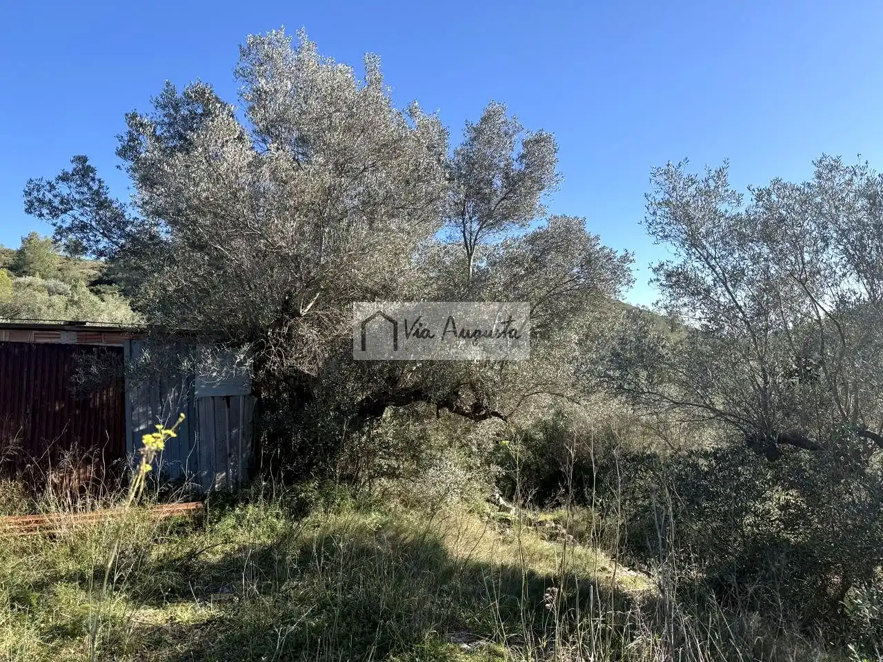 Terreno rustico in vendita a Bassa d'en Baró, imagen 11