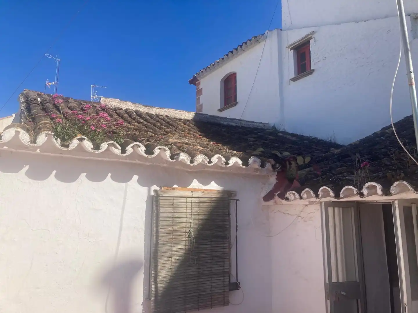 Casa rústica en venta en Estepona Pueblo, imagen 2