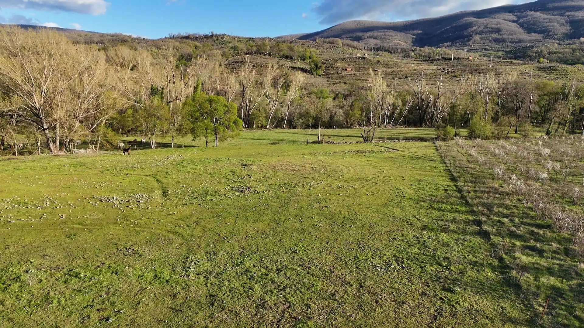Terreno en venta en El Torno 