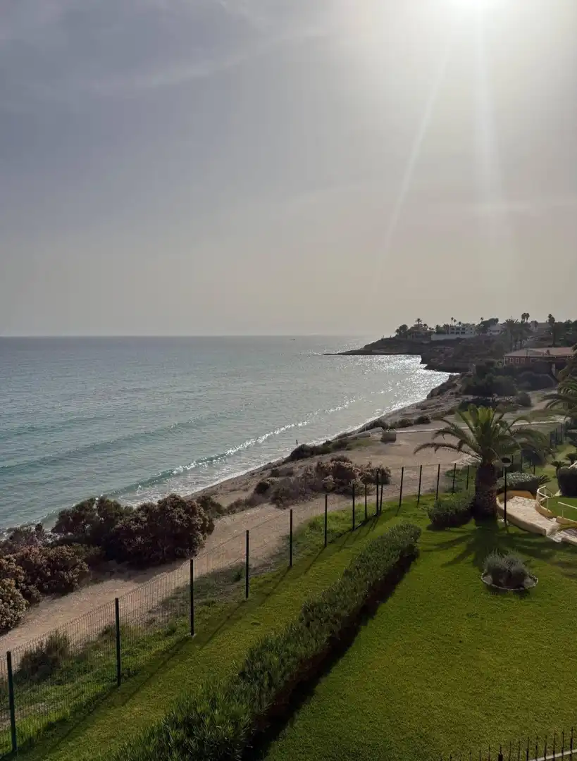 Detached homes for rent in Calle Dentol, Pueblo Español - Coveta Fumá