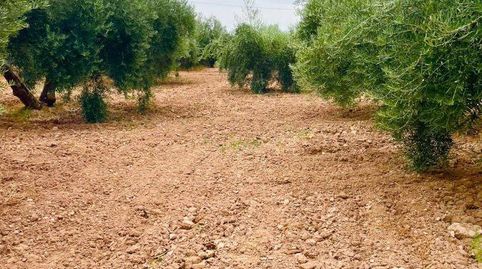 Casa Rural en venta en VélezRubio, 1 dormitorio., immagine 5