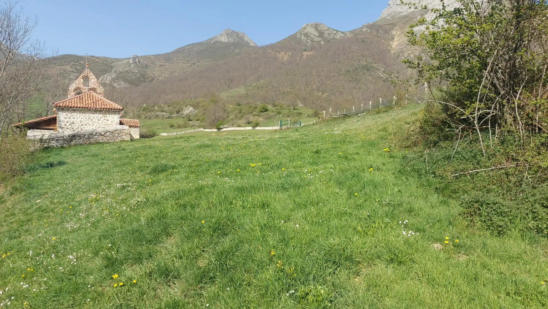 Terreno rustico in vendita a Pesaguero