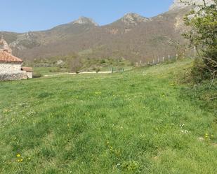 Land for sale in Pesaguero