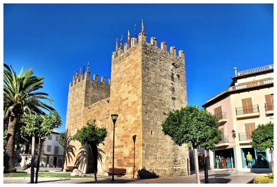 Terreny rústic en venda a Ciutat d'Alcúdia, imagen 13