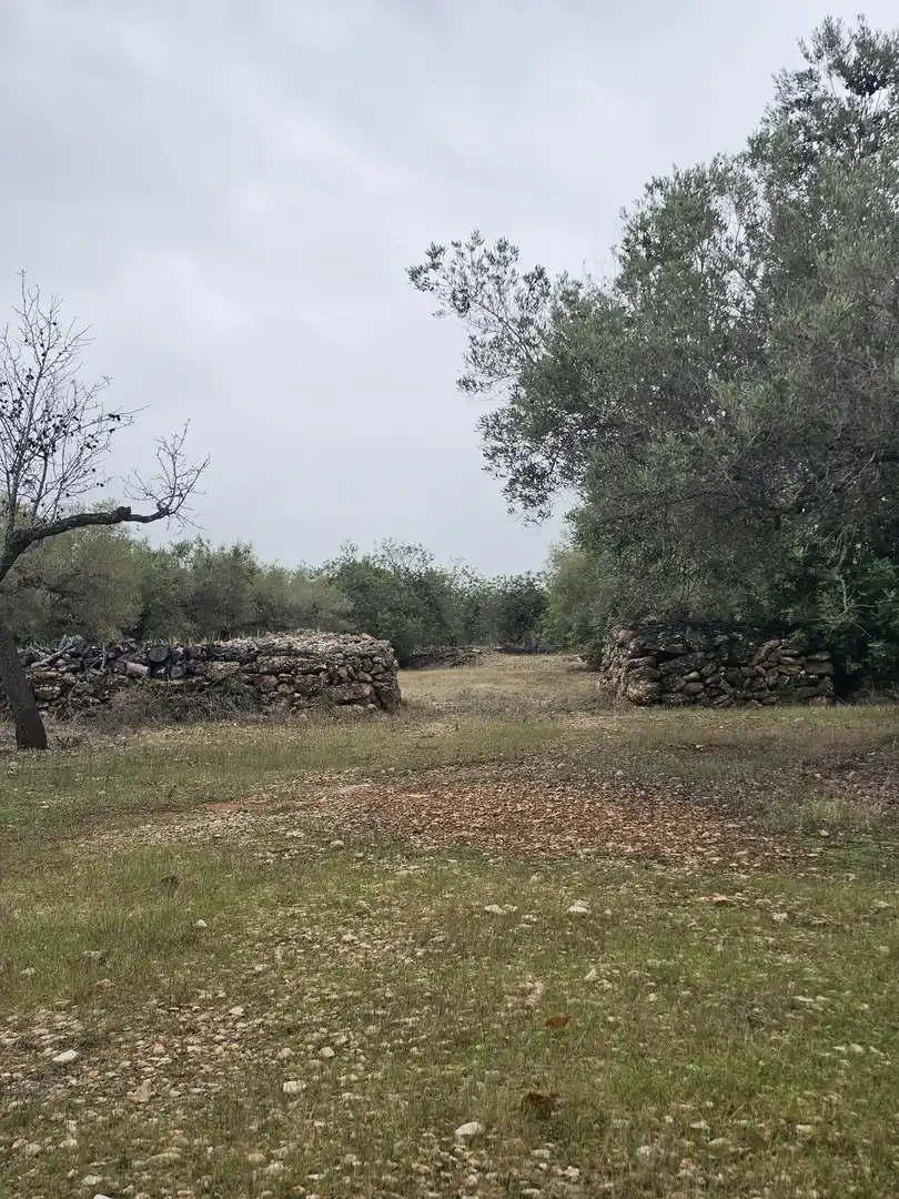 Terreny rústic en venda a Les Tres Cales, imagen 7