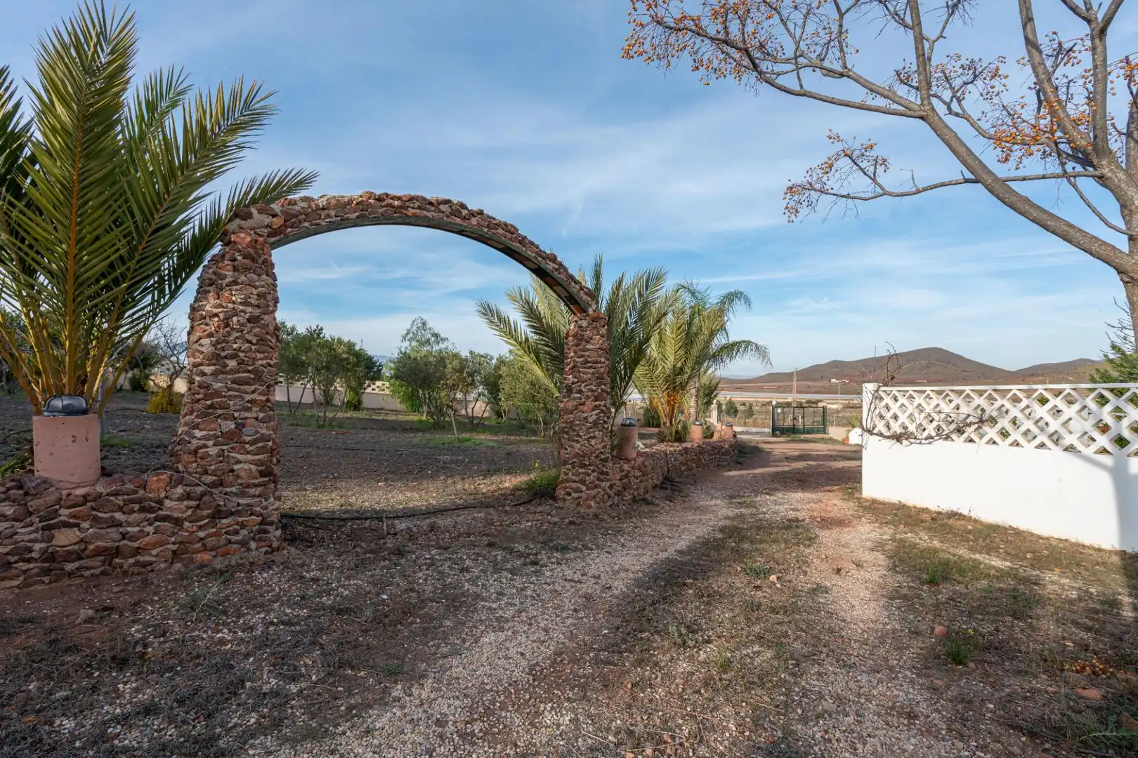 Jardín de Casa o chalet en venta en Níjar con Calefacción, Jardín privado y Terraza