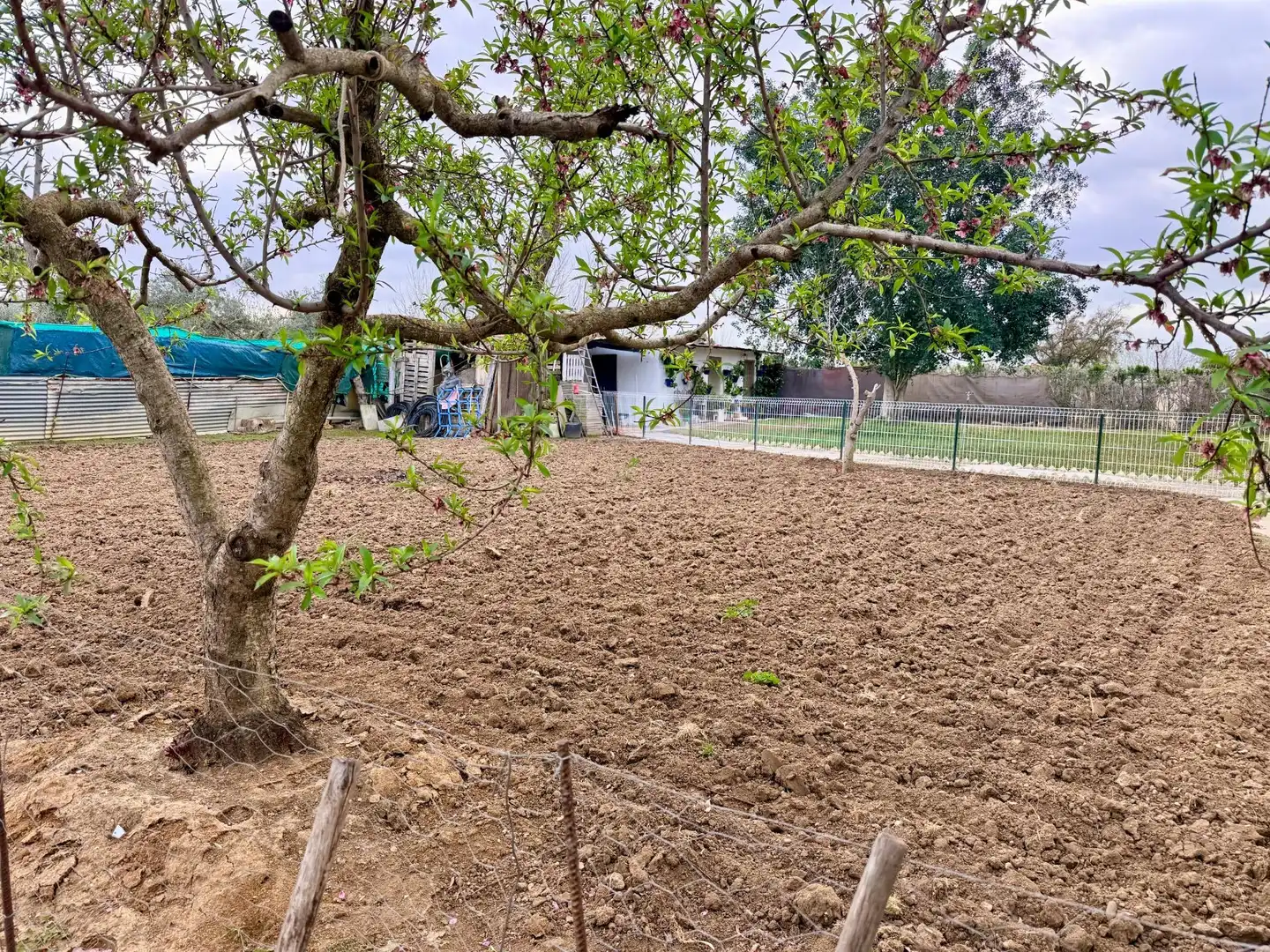 Casa o chalet en venta en Carmona con Aire acondicionado, Jardín privado y Trastero