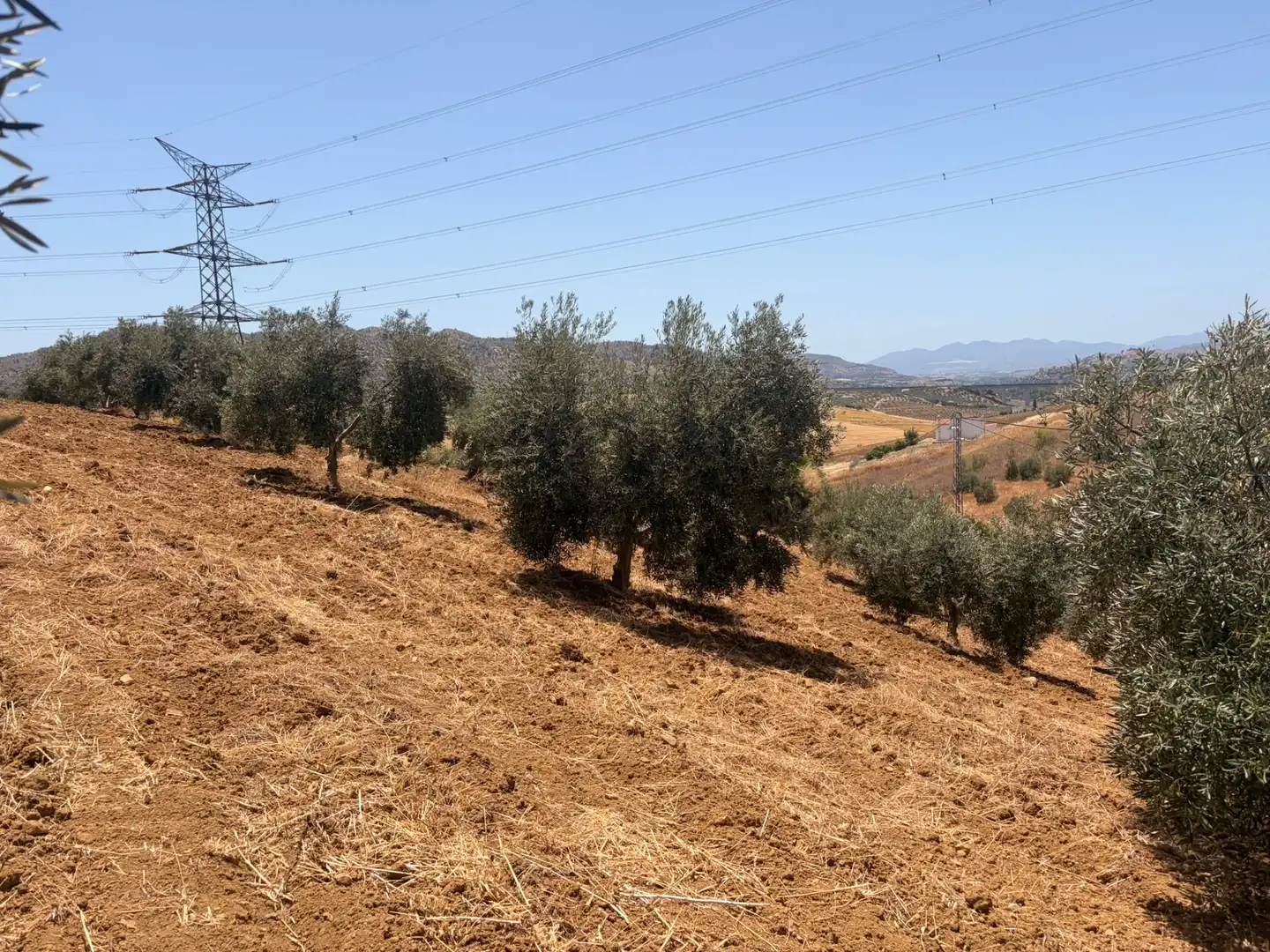 Terreno en venta en N/A, Álora