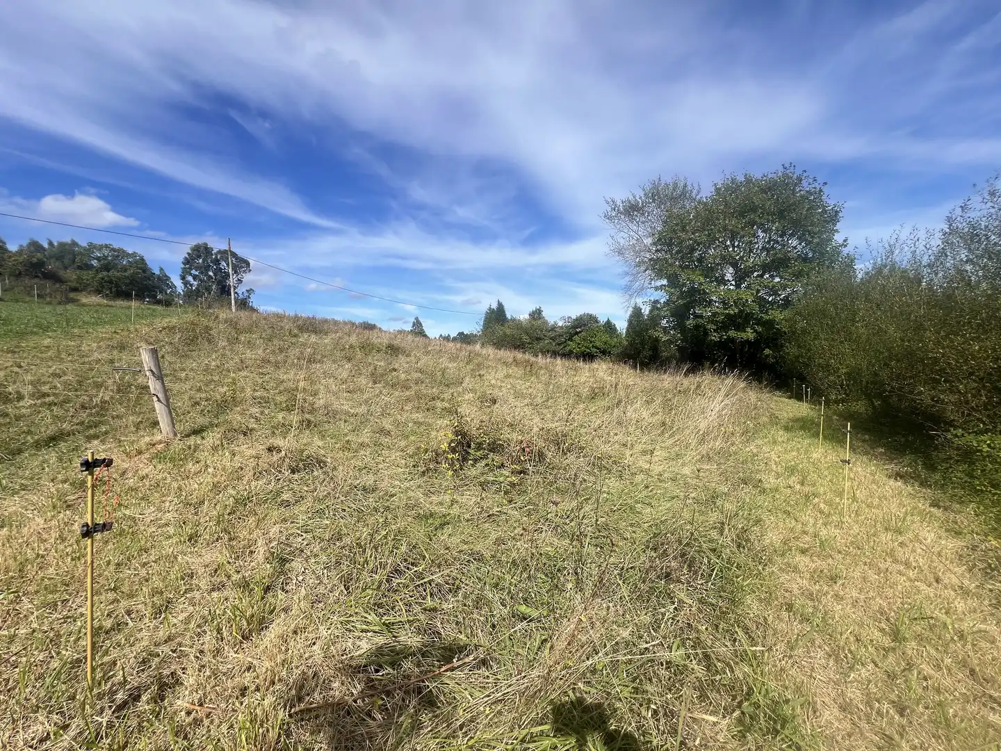Lands and plots for sale in Pillarno, imagen 24