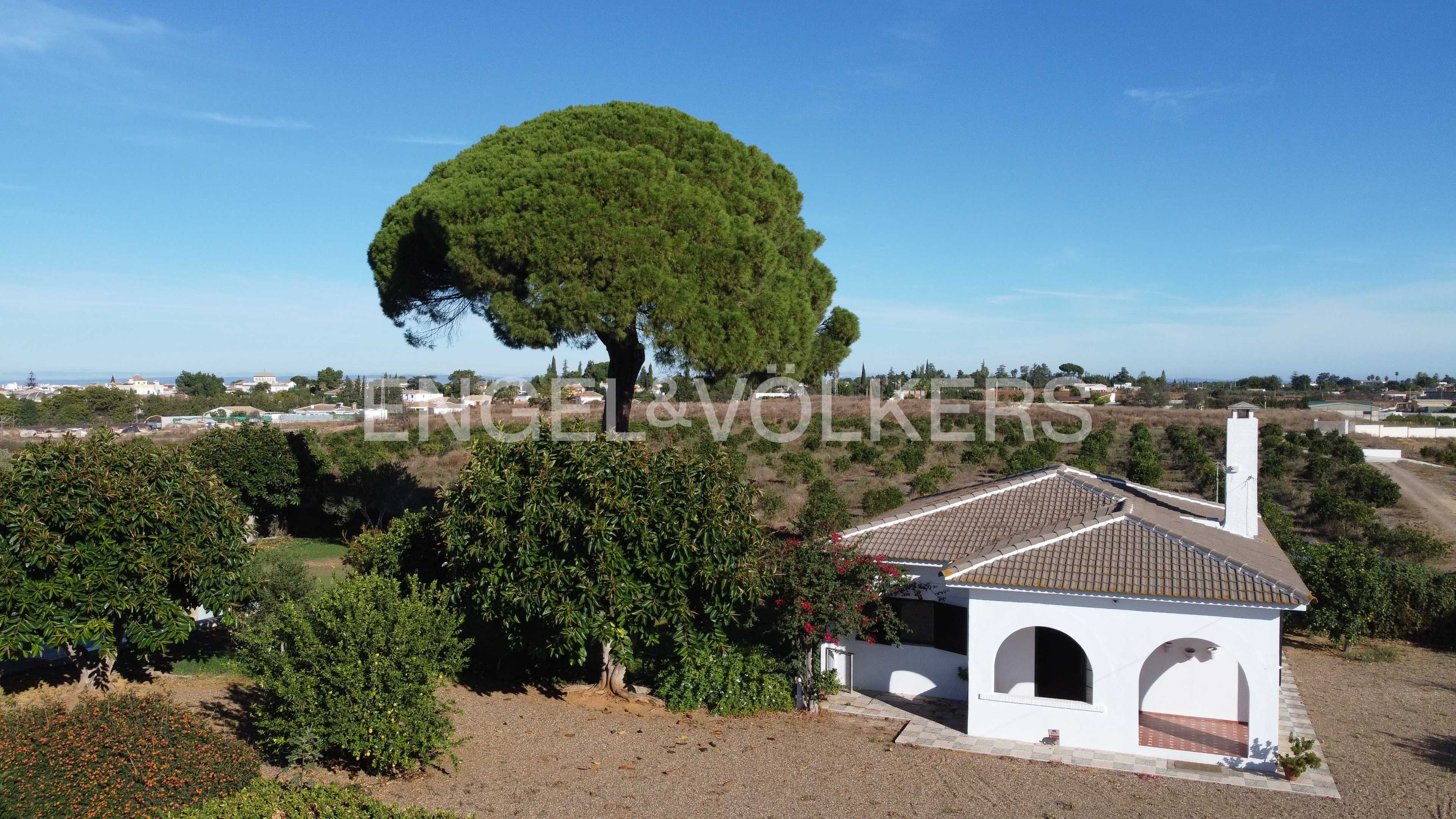 Vista exterior de Finca rústica en venda en Sanlúcar la Mayor amb Aire condicionat, Calefacció i Jardí privat