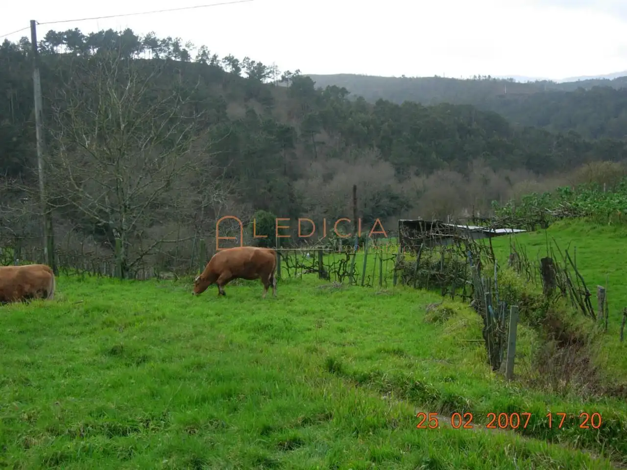 Residencial en venta en Crecente