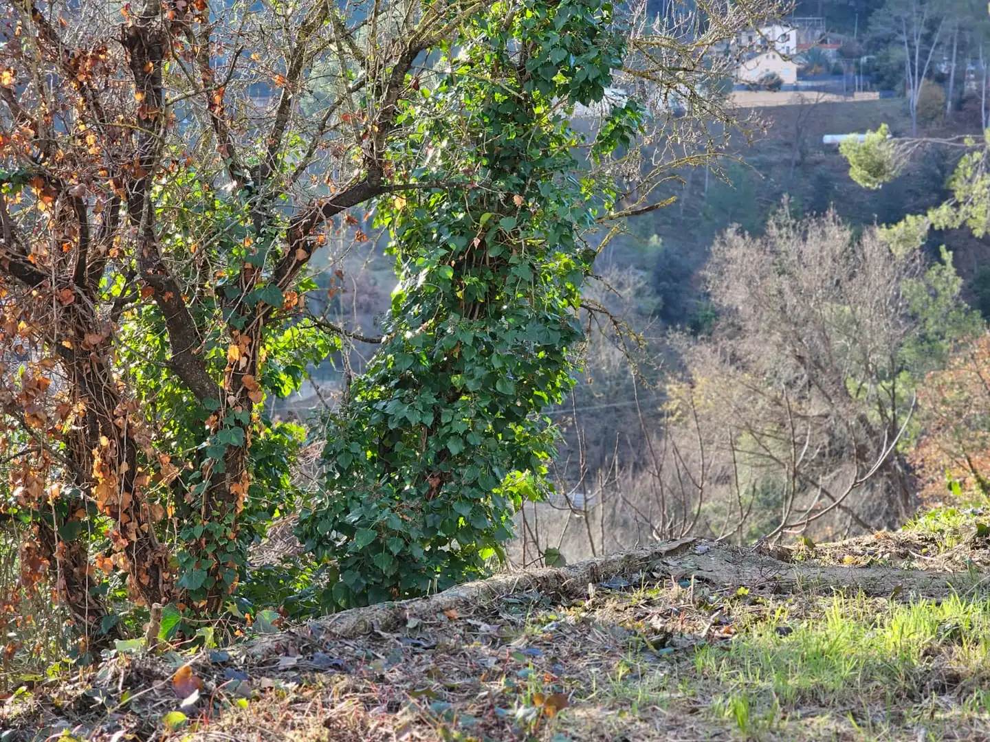 Wohnbaugrundstück zum Verkauf in Corbera de Llobregat, imagen 8