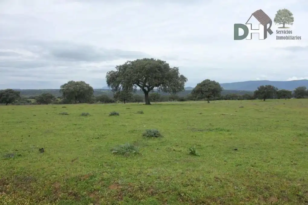 Terreni e lotti in vendita a Valdesalor - Rincón de Ballesteros, imagen 2