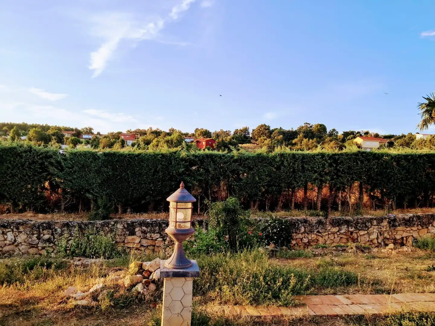 Jardí de Casa o xalet en venda en Matarrubia