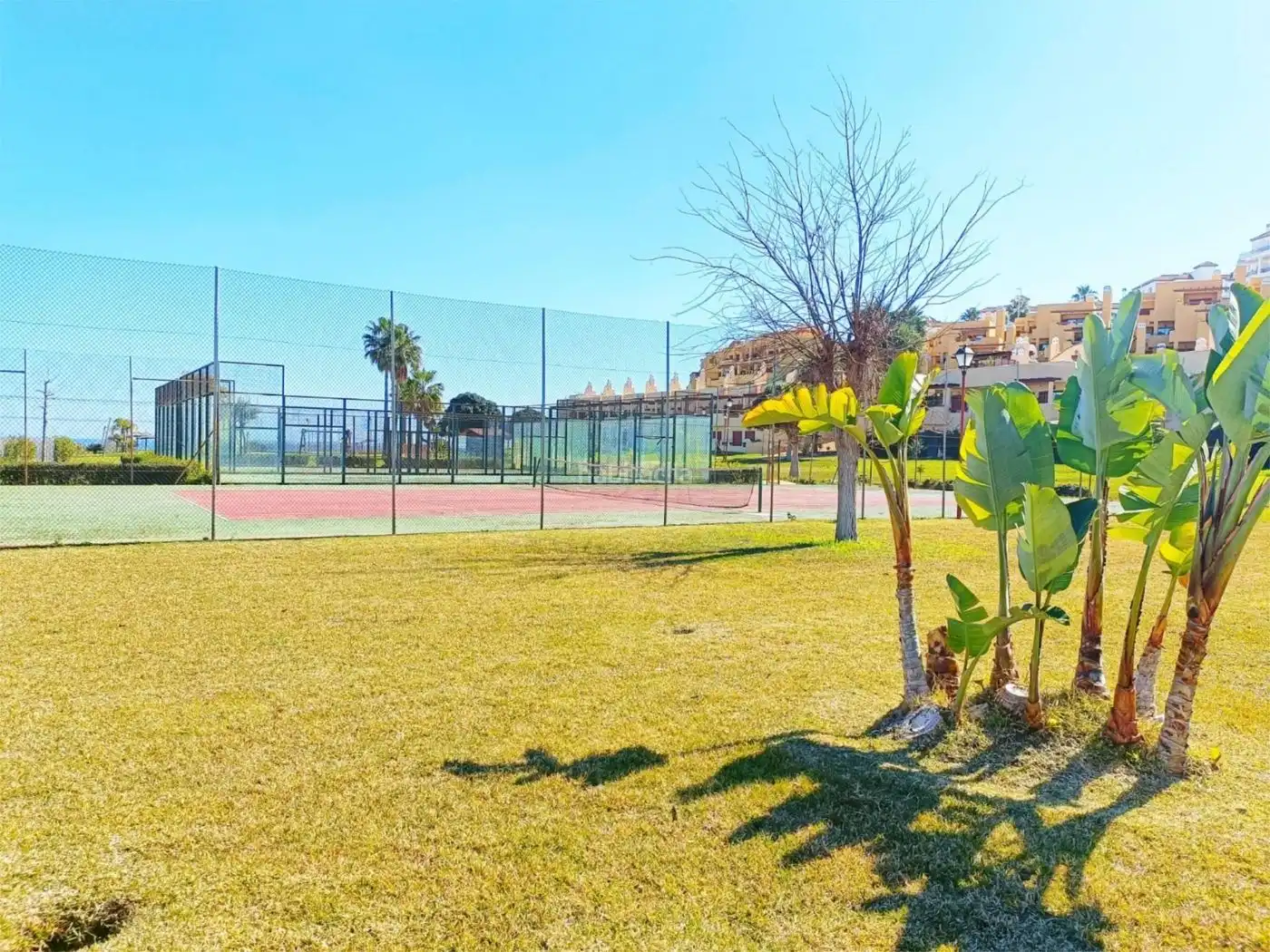 House with pool to rent in Avenida Suecia 56, imagen 12