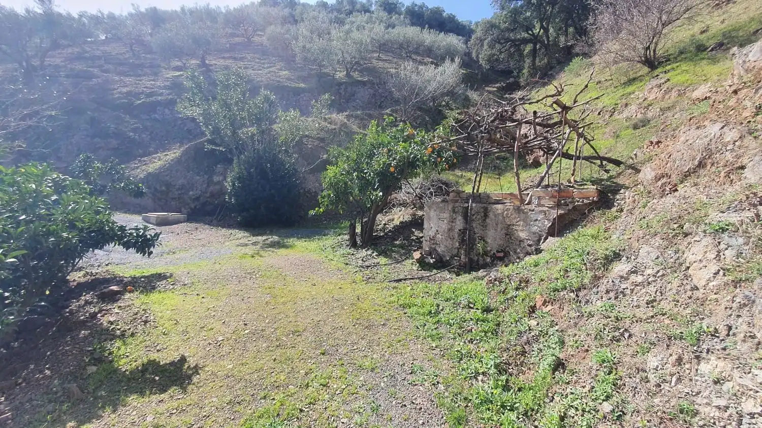 Residencial en venta en Monda