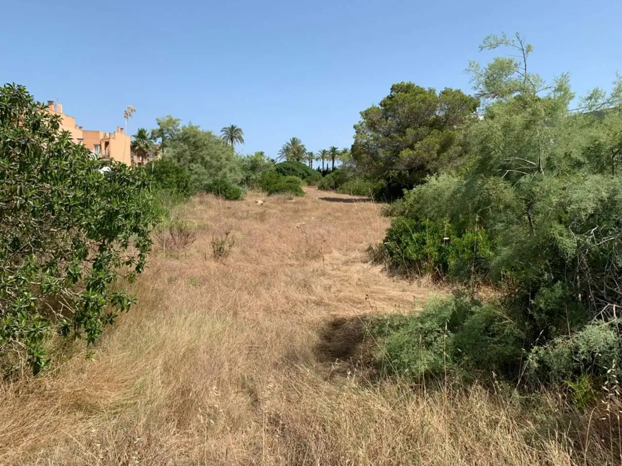 Terreny industrial en venda en Alcúdia