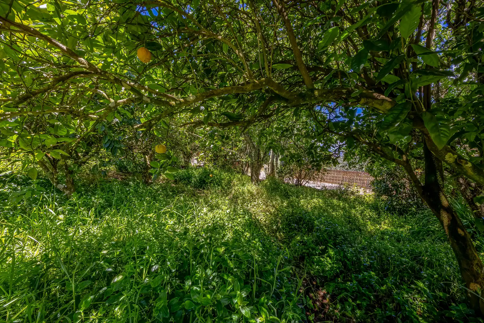 Casa o xalet en venda en Valleseco amb Jardí privat, Terrassa i Traster