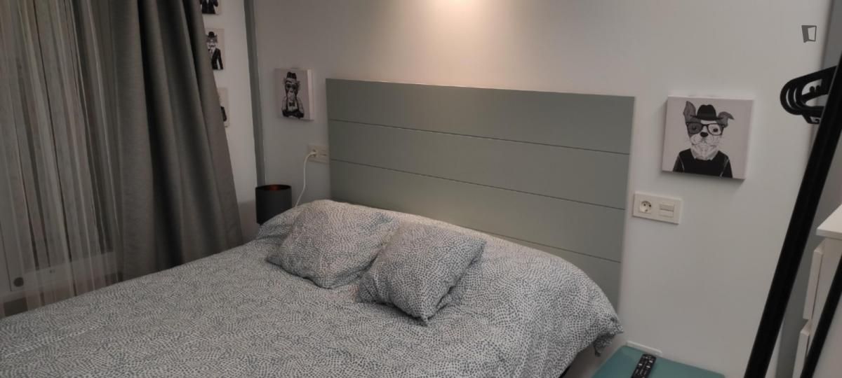 Estudio de alquiler en Casco Antiguo