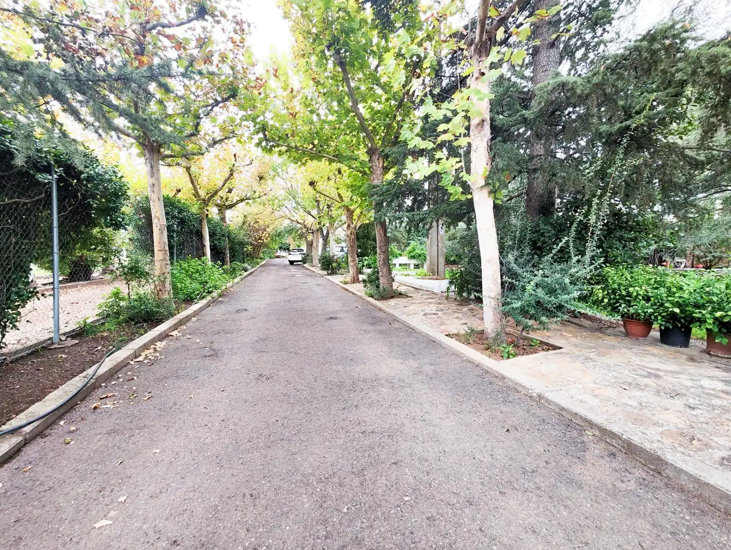 Vista exterior de Casa o xalet en venda en Puertollano amb Aire condicionat, Calefacció i Jardí privat