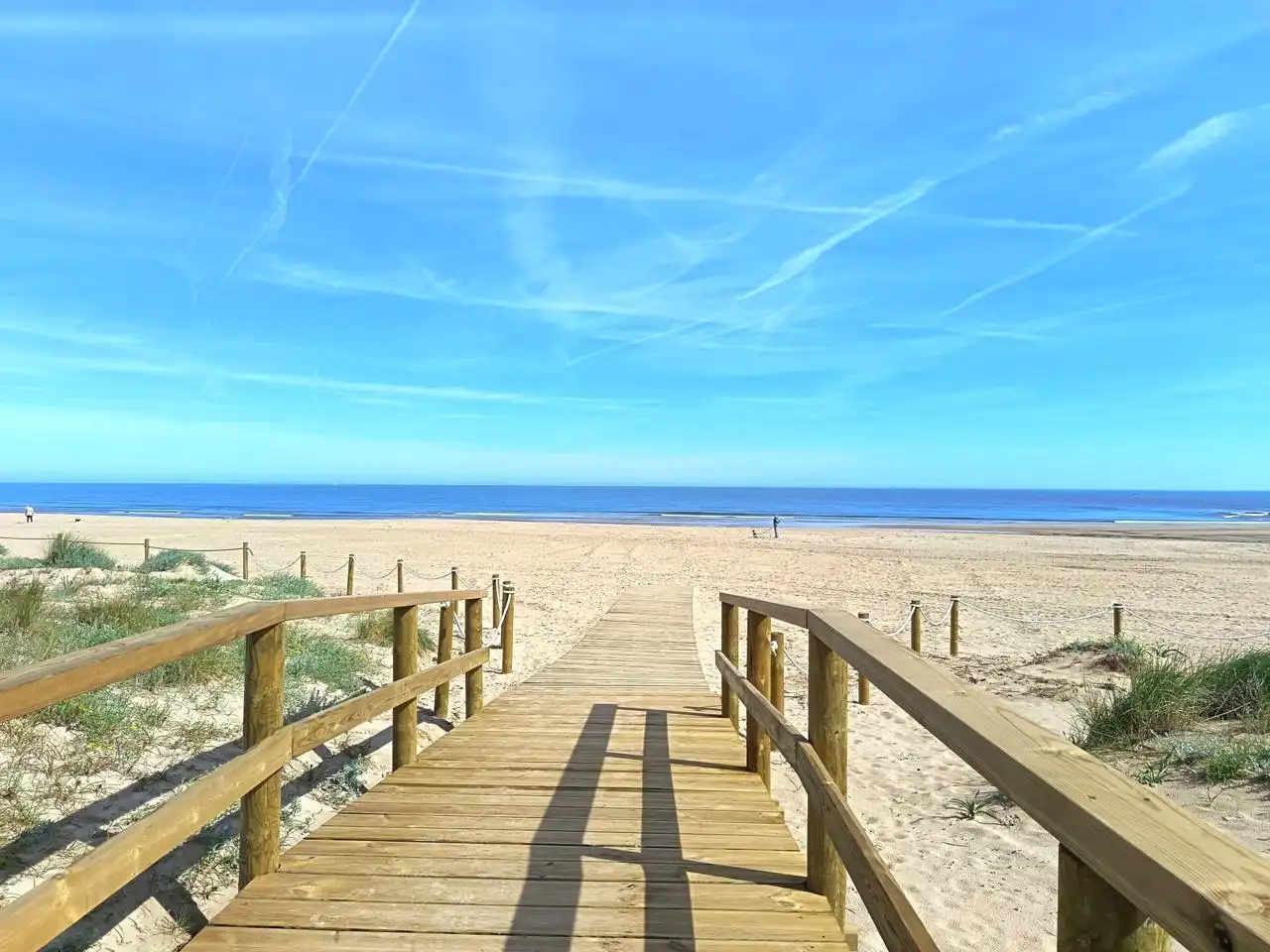 Exterior view of Houses for sale in Oliva