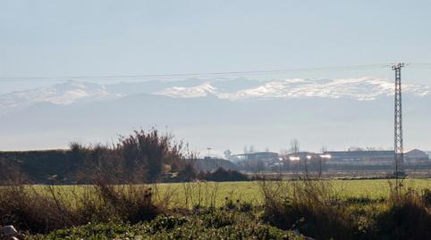 Photo 5 of Land for sale in  Polígono 9 Parcela 367 Marachatalan, Camino de Ronda,  Granada Capital