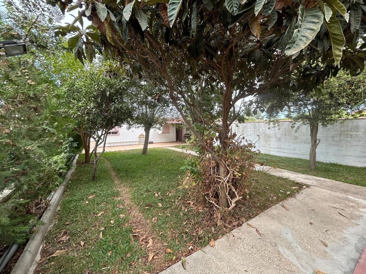 Jardí de Casa o xalet en venda en Coria del Río amb Aire condicionat, Calefacció i Traster