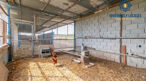 Finca rústica en venta con casa, nave y piscina, immagine 4