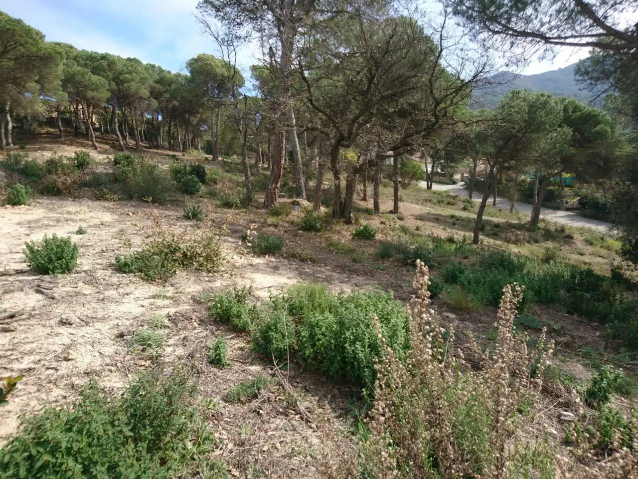 Terreny residencial en venda a Vilanova del Vallès, imagen 20
